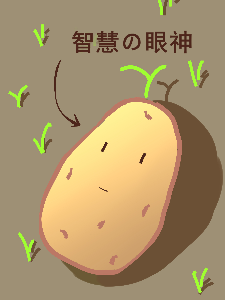 About the story of a brave man being a potato for a thousand years and then the world was destroyed