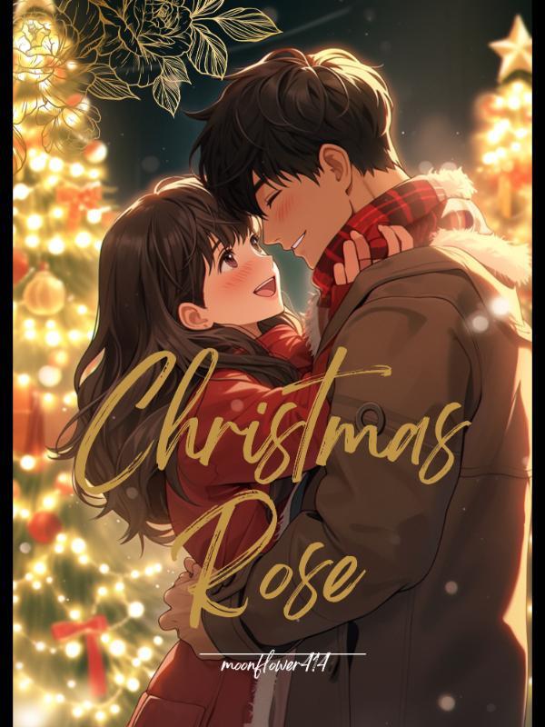 Christmas Rose