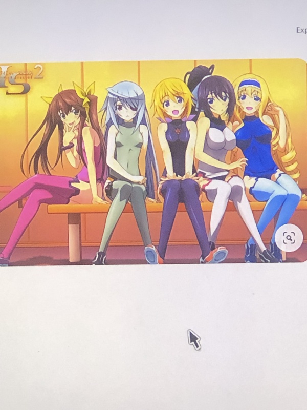 infinite stratos Do whaever you want with World reorganization