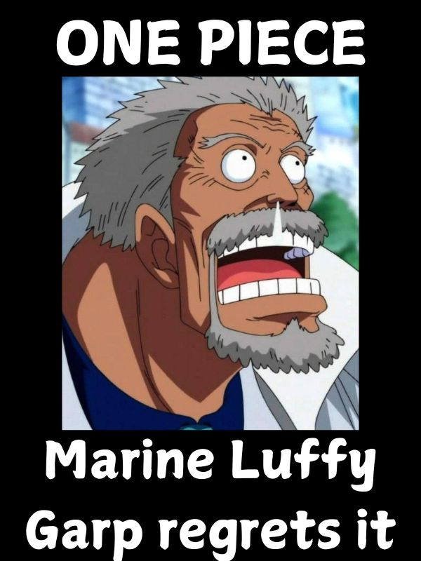 One Piece: Marine Luffy, Garp regrets it