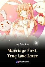 Marriage First, True Love Later Novel