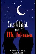 One Night with Mr. Unknown