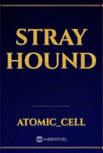 Stray Hound