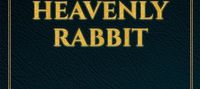 Naruto: Son of the heavenly rabbit