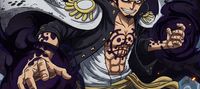 One Piece : The Deathless Surgeon